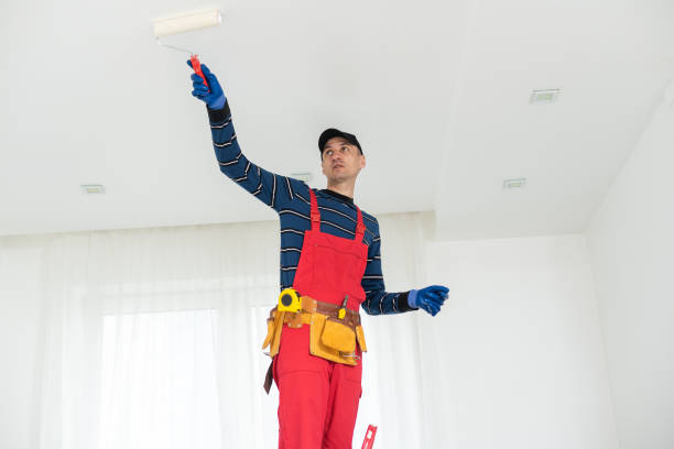 Best Residential Painting  in Standish, MI